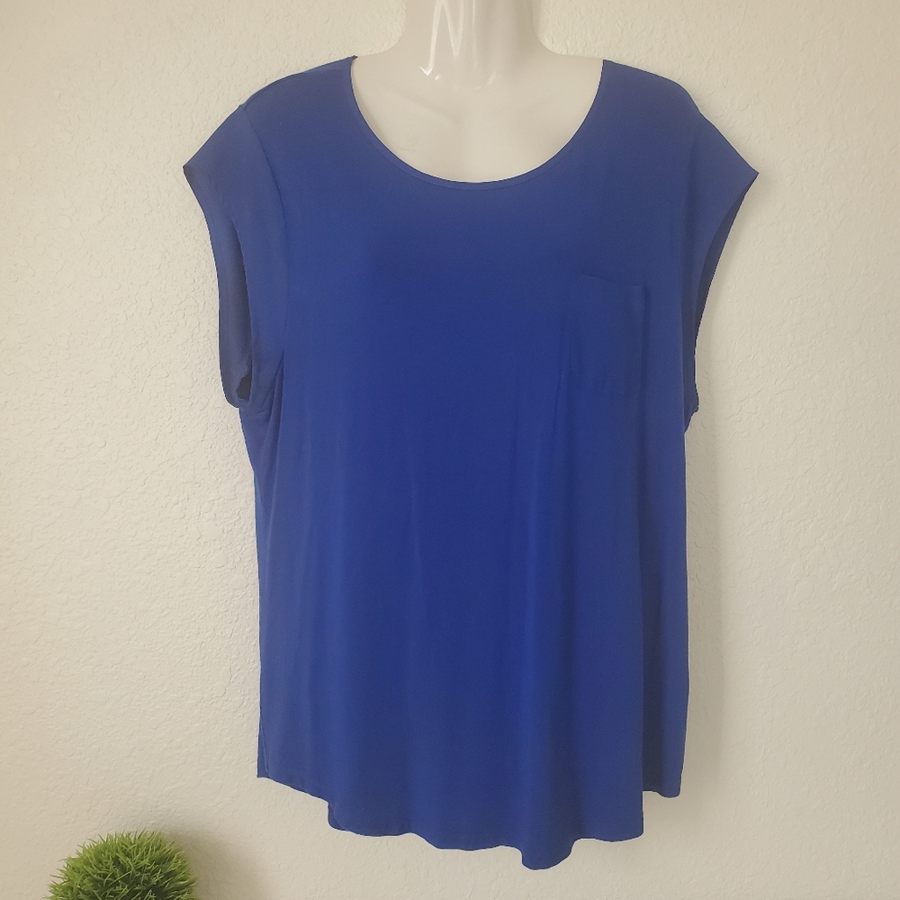 Calvin Klein Solid Blue Blouse